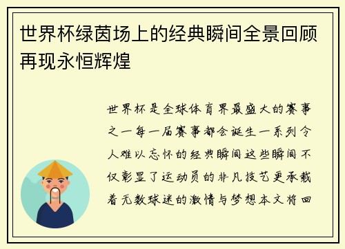 世界杯绿茵场上的经典瞬间全景回顾再现永恒辉煌